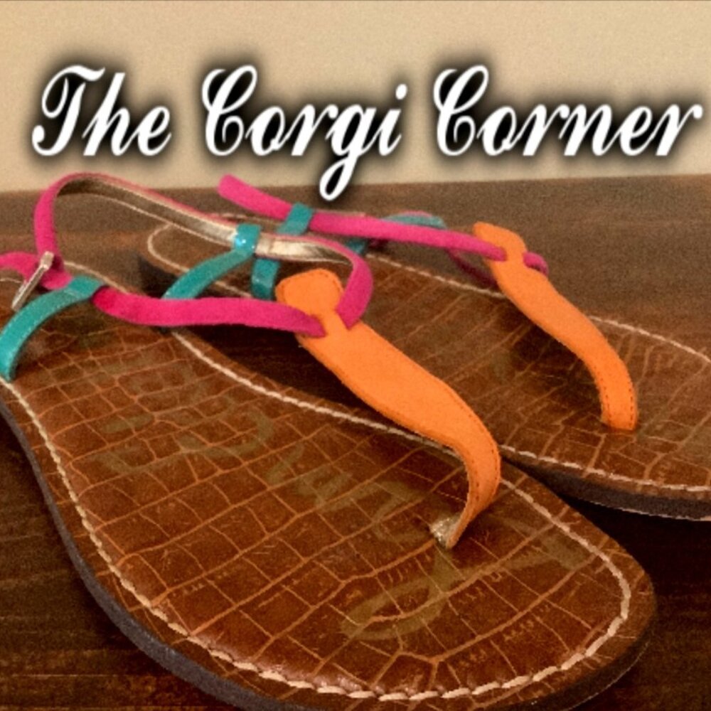 Sam Edelman Colorful Ankle Strap Flat Thong Sandals